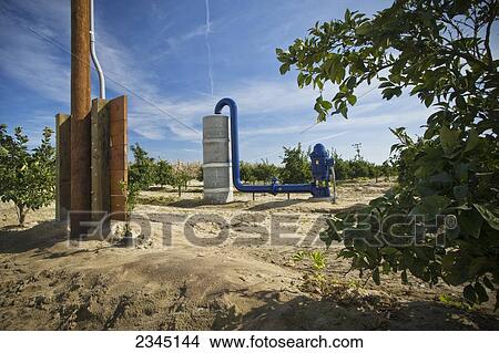 Picture - Agriculture - Electric powered irrigation water pump and standpipe in an orange grove / near Dinuba, California, USA.. Fotosearch