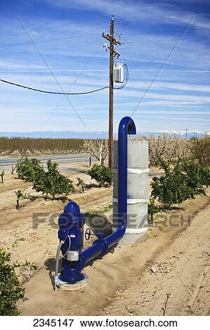 Agriculture - Electric powered irrigation water pump and standpipe in an orange grove / near Dinuba, California, USA. View Large Photo Image Stock Photo - Agriculture - Electric powered irrigation water pump and standpipe in an orange grove / near Dinuba, California, USA.. Fotosearch