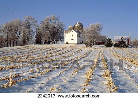 Agriculture Field Of Corn Stubble Covered By Snow With Farm