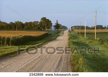 Stock Photo - Agriculture - Gravel country road passing through farm fields on a summer morning / Minnesota, USA.. Fotosearch