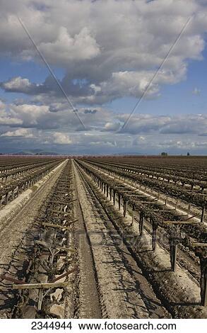 Agriculture View Large Photo Image Picture - Agriculture. Fotosearch