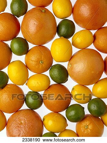 Agriculture Produce Citrus Lemons Limes Oranges Grapefruit Stock Image Fotosearch