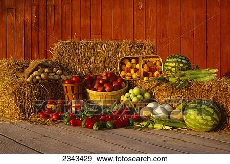 Stock Photo - Agriculture - Produce, mixed fruits and vegetables of the Mid-Atlantic U. S. growing region.. Fotosearch