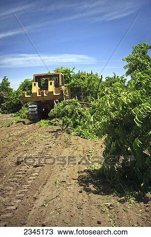 Stock Image - Agriculture. Fotosearch