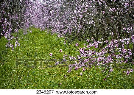 Agriculture View Large Photo Image Stock Photo - Agriculture. Fotosearch