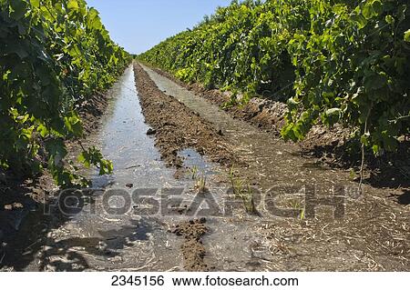 Agriculture View Large Photo Image Stock Photograph - Agriculture. Fotosearch