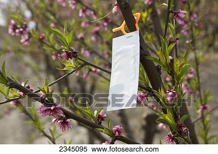 Agriculture View Large Photo Image Stock Photography - Agriculture. Fotosearch