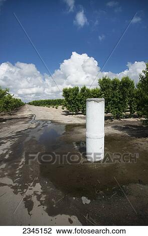 Agriculture - This irrigation standpipe broke off from the underground pipeline causing flooding in the surrounding orchards / near Dinuba, California, USA. View Large Photo Image Stock Image - Agriculture - This irrigation standpipe broke off from the underground pipeline causing flooding in the surrounding orchards / near Dinuba, California, USA.. Fotosearch
