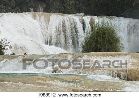 Stock Image - Agua Azul Waterfall, Chiapas, Mexico. Fotosearch