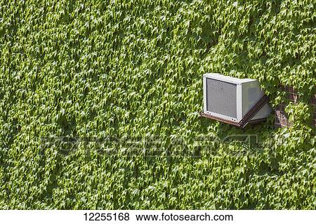 Stock Photo - Air conditioner on the side of a building surrounded by green ivy; Connecticut, United States of America. Fotosearch