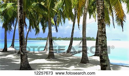 Stock Image - Aitutaki Lagoon Resort, Aitutaki, Cook Islands. Fotosearch