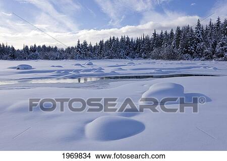 Picture - Alaska, Juneau, Mendenhall Glacier, Mount Mcginnis And Mount Stroller White In Background.. Fotosearch