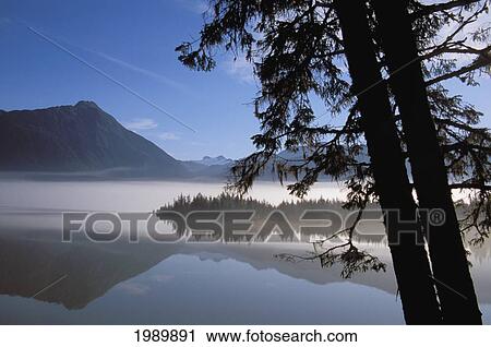 Alaska, Juneau, Mendenhall Glacier, Tongass National Forest, Mountains Reflect In A Mountain Lake. View Large Photo Image Stock Image - Alaska, Juneau, Mendenhall Glacier, Tongass National Forest, Mountains Reflect In A Mountain Lake.. Fotosearch