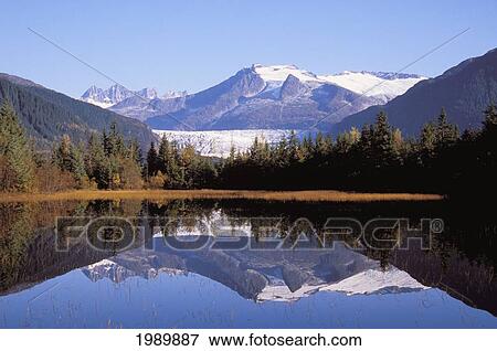 Alaska, Juneau, Mendenhall Glacier, Tongass National Forest, Mountains Reflect In A Mountain Lake. View Large Photo Image Stock Photo - Alaska, Juneau, Mendenhall Glacier, Tongass National Forest, Mountains Reflect In A Mountain Lake.. Fotosearch