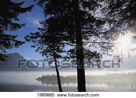 Stock Photography - Alaska, Juneau, Mendenhall Glacier, Tongass National Forest, Mountains Reflect In A Mountain Lake.. Fotosearch