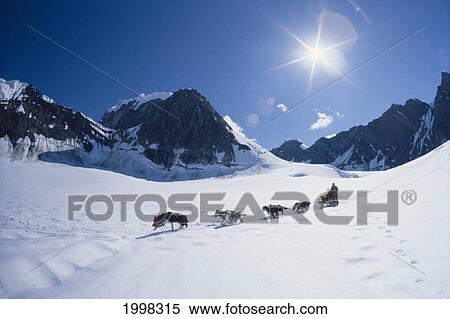 Alaska, Mt. Mckinley Area, Couple Dog Sledding In Snow, Mountains, Star Filter Sun View Large Photo Image Stock Photography - Alaska, Mt. Mckinley Area, Couple Dog Sledding In Snow, Mountains, Star Filter Sun. Fotosearch