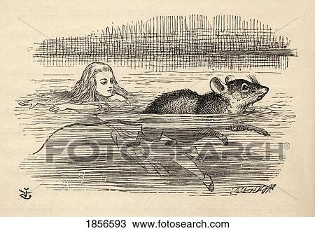 Stock Image - Alice Swimming With A Mouse In The Pool Of Tears Illustration By John Tenniel From The Book Alices's Adventures In Wonderland By Lewis Carroll Published 1891. Fotosearch
