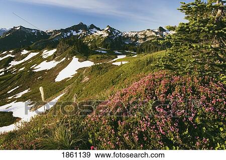 Stock Photo - Alpine Scenic. Fotosearch