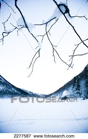 Alpine winter scene with snow, mountains and pine trees, as tree branches hang over frozen lake; Ortnevik, Sognefjord, Norway View Large Photo Image Stock Photo - Alpine winter scene with snow, mountains and pine trees, as tree branches hang over frozen lake; Ortnevik, Sognefjord, Norway. Fotosearch