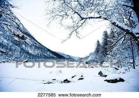 Alpine winter scene with snow, mountains and pine trees, as tree branches hang over frozen lake; Ortnevik, Sognefjord, Norway View Large Photo Image Stock Photography - Alpine winter scene with snow, mountains and pine trees, as tree branches hang over frozen lake; Ortnevik, Sognefjord, Norway. Fotosearch