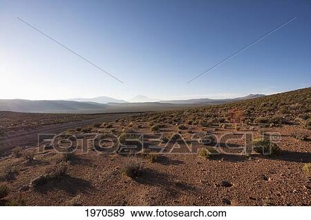 Stock Photo - Altiplano Surrounded By Volcanoes In The Andes Cordillera Near Ollague At Dawn, Antofagasta Region, Chile. Fotosearch