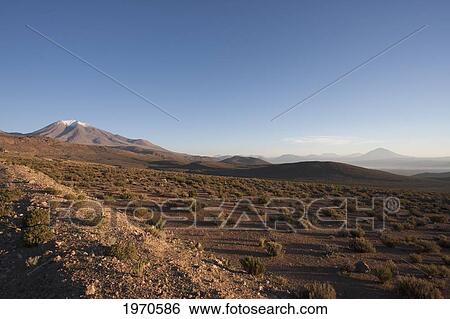 Stock Photograph - Altiplano Surrounded By Volcanoes In The Andes Cordillera Near Ollague At Dawn, Antofagasta Region, Chile. Fotosearch