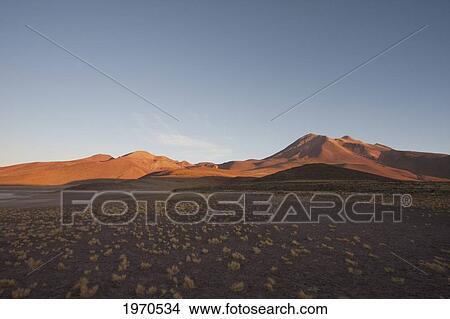 Altiplano With Miscanti In The Background, Antofagasta Region, Chile View Large Photo Image Picture - Altiplano With Miscanti In The Background, Antofagasta Region, Chile. Fotosearch