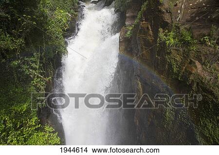 Picture - Alvar Nunez Falls, Iguazu Falls National Park, Misiones, Argentina. Fotosearch