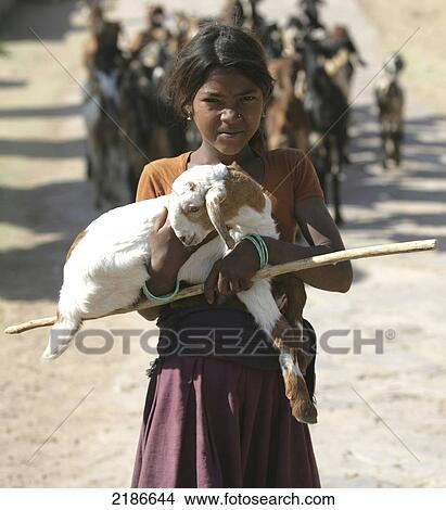 Picture - Alwar District Rajasthan India. Fotosearch