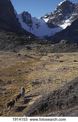 Stock Image - Amaryan Woman With Donkeys. Fotosearch