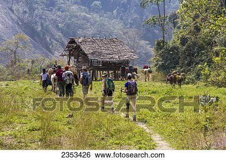 American Tourists, Village Porters And Horses Carrying Camping Gear For A Trek On A Trail Near The Village Of Shelangte; Bhutan View Large Photo Image Stock Photograph - American Tourists, Village Porters And Horses Carrying Camping Gear For A Trek On A Trail Near The Village Of Shelangte; Bhutan. Fotosearch