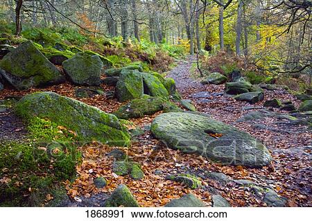 An Abandoned Millstone Along A Path In Peak District National Park In Autumn; Derbyshire, England View Large Photo Image Stock Image - An Abandoned Millstone Along A Path In Peak District National Park In Autumn; Derbyshire, England. Fotosearch