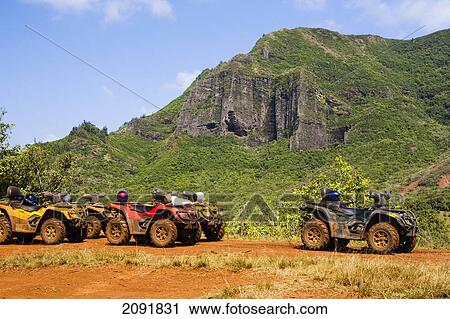 An Atv Adventure Though Kipu Ranch; Kauai, Hawaii, Usa View Large Photo Image Stock Image - An Atv Adventure Though Kipu Ranch; Kauai, Hawaii, Usa. Fotosearch