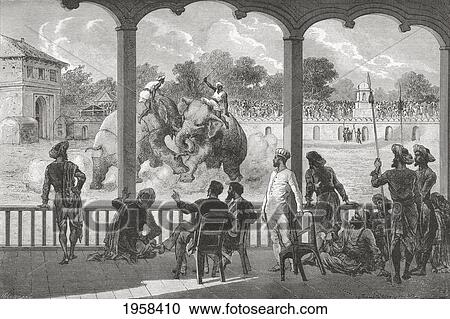 An Elephant Fight, Baroda, India In The 19Th Century. From El Mundo En La Mano, Published 1878. View Large Photo Image Stock Image - An Elephant Fight, Baroda, India In The 19Th Century. From El Mundo En La Mano, Published 1878.. Fotosearch