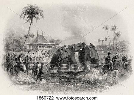 Stock Image - An Elephant Fight From A 19Th Century Print. Fotosearch