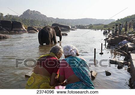 An elephant wades in the river with people along the riverbank; Hampi, Karnataka, India View Large Photo Image Stock Photograph - An elephant wades in the river with people along the riverbank; Hampi, Karnataka, India. Fotosearch