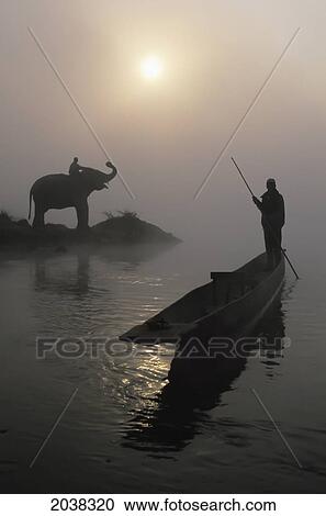 An Elephant With Its Mahout Stand At The Edge Of The Rapti River Near Sauraha And Chitwan National Park As A Man Pushes His Dugout Canoe Along The River; Nepal View Large Photo Image Stock Image - An Elephant With Its Mahout Stand At The Edge Of The Rapti River Near Sauraha And Chitwan National Park As A Man Pushes His Dugout Canoe Along The River; Nepal. Fotosearch