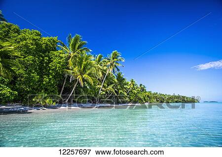 Stock Photo - An island that forms part of the marine park, near the Tuvalu mainland; Tuvalu. Fotosearch