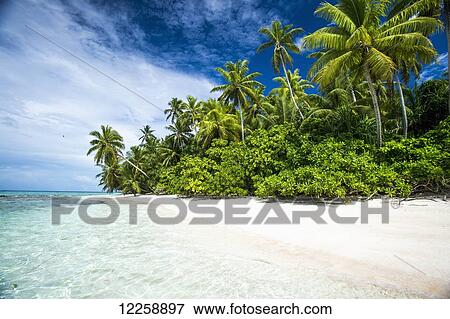 Stock Photo - An island that forms part of the marine park, a short boat ride from the Tuvalu mainland; Tuvalu. Fotosearch