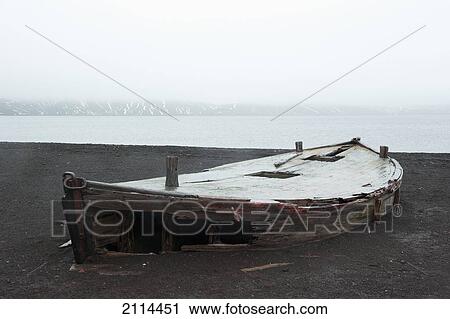 An Old Abandoned Wooden Boat On The Shore; Whalers Bay Antarctica View Large Photo Image Stock Image - An Old Abandoned Wooden Boat On The Shore; Whalers Bay Antarctica. Fotosearch