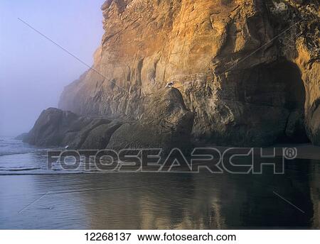 Stock Photo - An old road hugs the cliff at Hug Point State Park; Arch Cape, Oregon, United States of America. Fotosearch