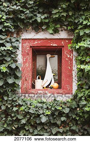 An Old Window Displaying Bird Sculptures With Vines Growing Around It; Sommerhausen Bavaria Germany View Large Photo Image Stock Photograph - An Old Window Displaying Bird Sculptures With Vines Growing Around It; Sommerhausen Bavaria Germany. Fotosearch