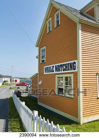 Picture - An orange building with a sign for whale watching; Trinity, Newfoundland and Labrador, Canada. Fotosearch