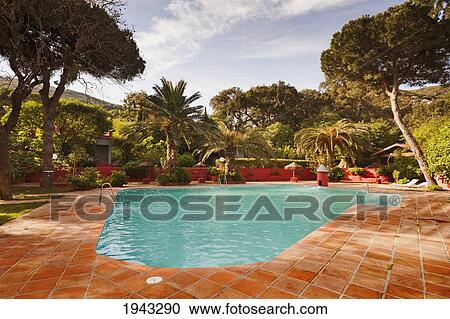 Stock Image - An Outdoor Swimming Pool Surrounded By Trees; El Cuarton Tarifa Cadiz Andalusia Spain. Fotosearch
