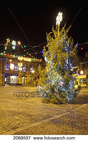 An Outdoor Tree Decorated In Lights For Christmas; Alnwick Northumberland England View Large Photo Image Stock Photo - An Outdoor Tree Decorated In Lights For Christmas; Alnwick Northumberland England. Fotosearch