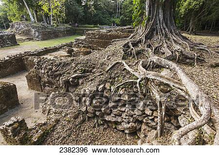 Stock Photograph - Ancient Mayan ruins in Lamanai; Belize. Fotosearch
