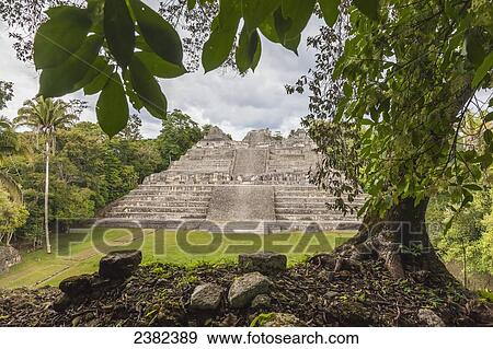Stock Photo - Ancient Mayan ruins of Caracol; Belize. Fotosearch