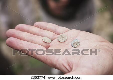 Picture - Ancient Roman coins found at Madure site, near Souq Ahras; Algeria. Fotosearch