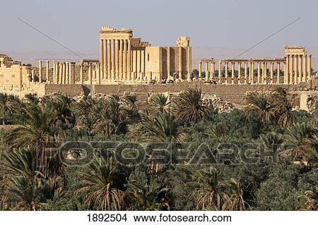 Ancient Ruins Of Palmyra View Large Photo Image Picture - Ancient Ruins Of Palmyra. Fotosearch