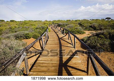 Stock Photo - Andalusia, Spain; A Wooden Boardwalk Near Chiclana. Fotosearch